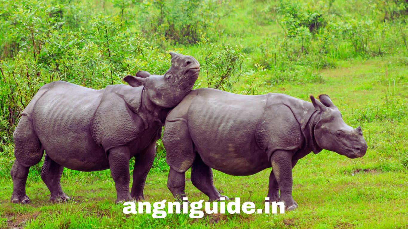 How Many World Heritage Sites in Assam 2025 pdf