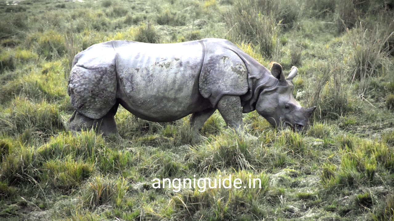 List of National Parks in Bodoland BTR,BTC, Assam 2025