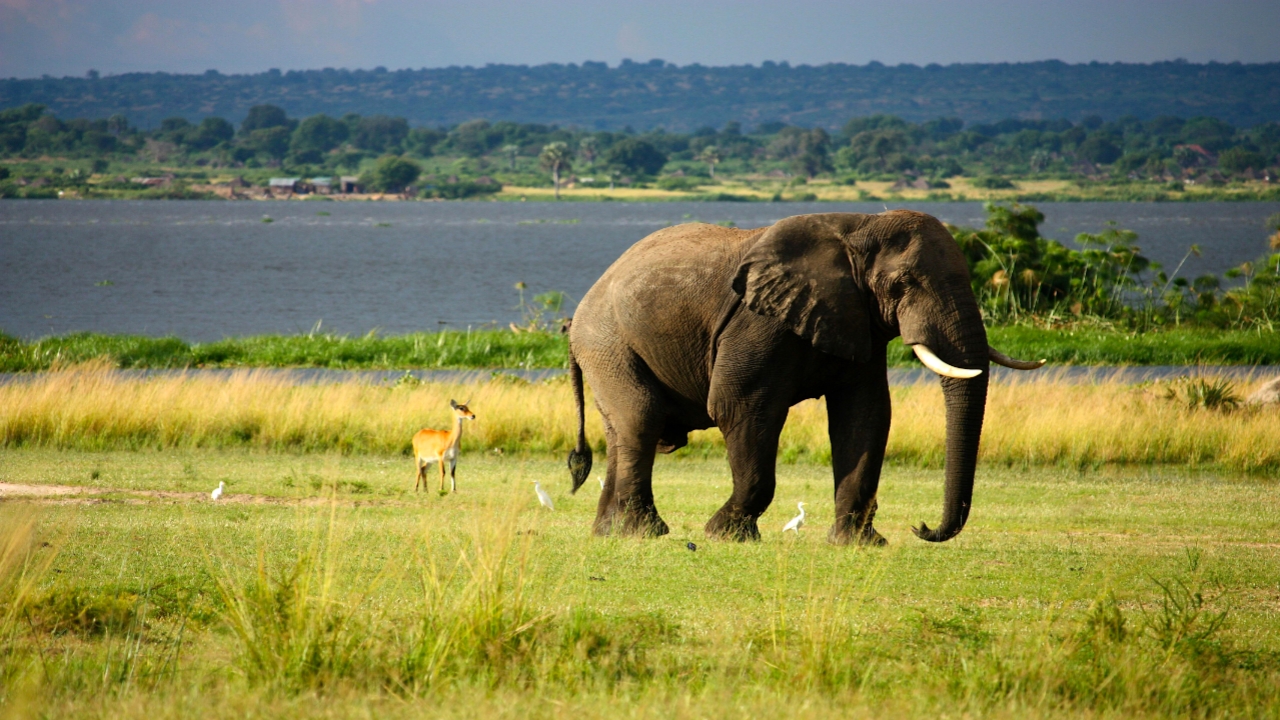 List of Wildlife Sanctuary in Assam 2025